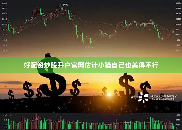 好配资炒股开户官网估计小猫自己也美得不行