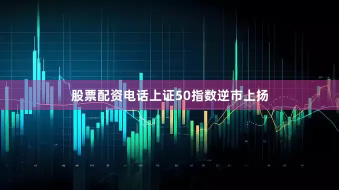 股票配资电话上证50指数逆市上扬