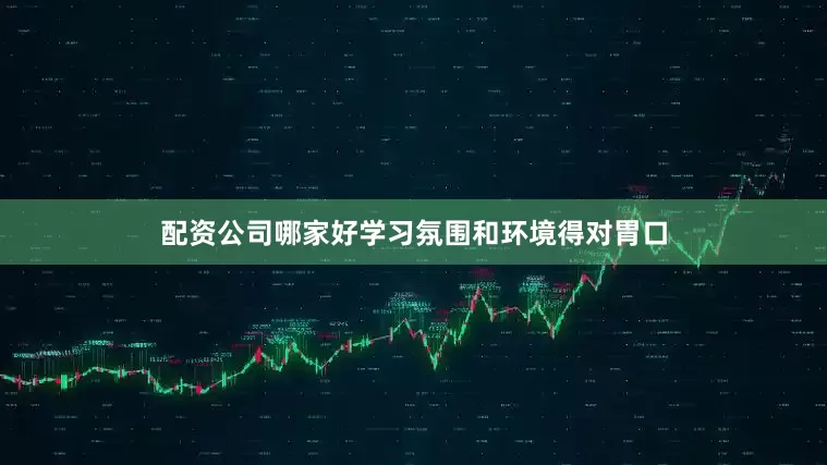 配资公司哪家好学习氛围和环境得对胃口